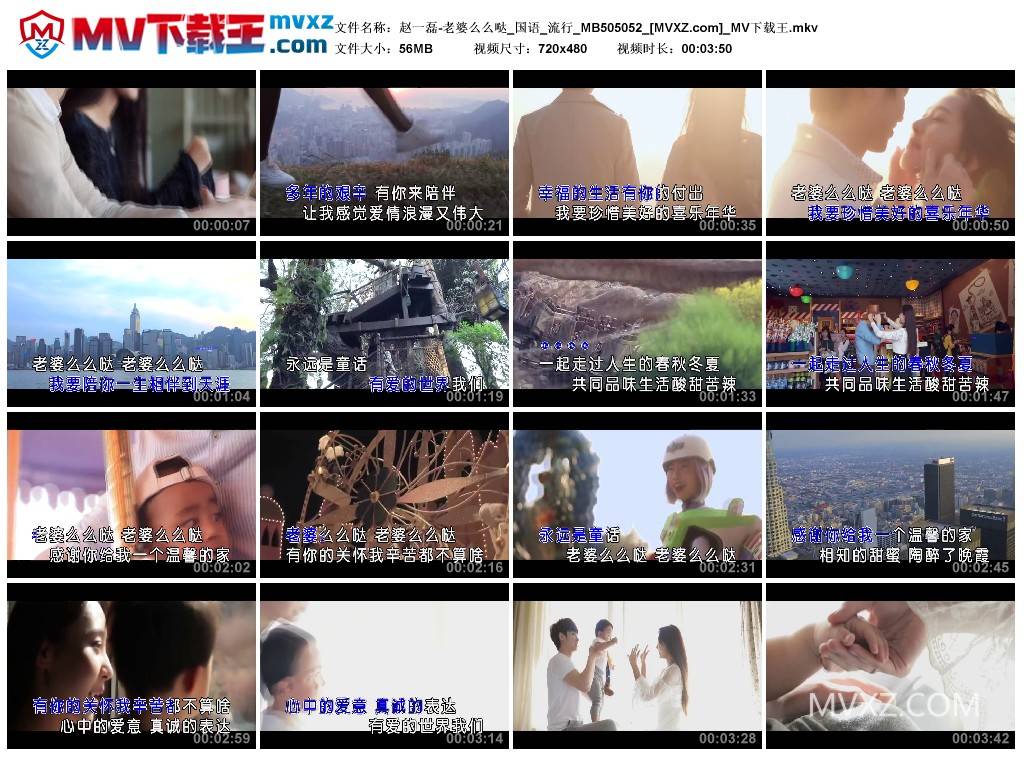 赵一磊-老婆么么哒_国语_流行_MB505052